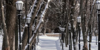 В Петербурге 15 декабря пройдет небольшой снег 